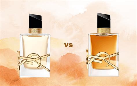 what perfume is similar to ysl libre|ysl libre vs intense.